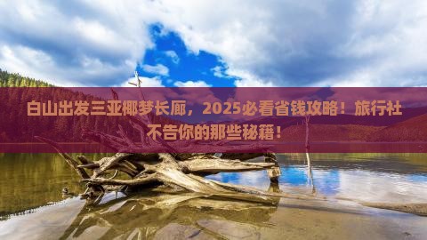 白山出发三亚椰梦长廊旅行社
