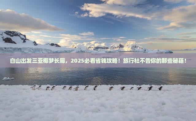 白山出发三亚椰梦长廊旅行社