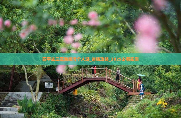 四平去三亚海棠湾个人游
