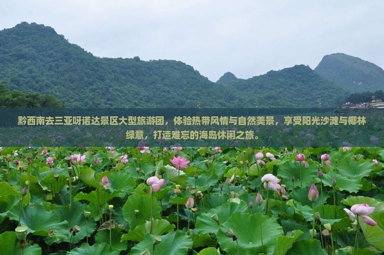 黔西南去三亚呀诺达景区大型旅游团