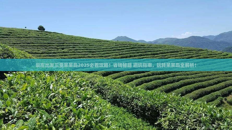 崇左出发三亚呆呆岛必玩地