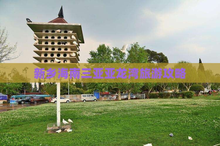 新乡去三亚亚龙湾团体旅游