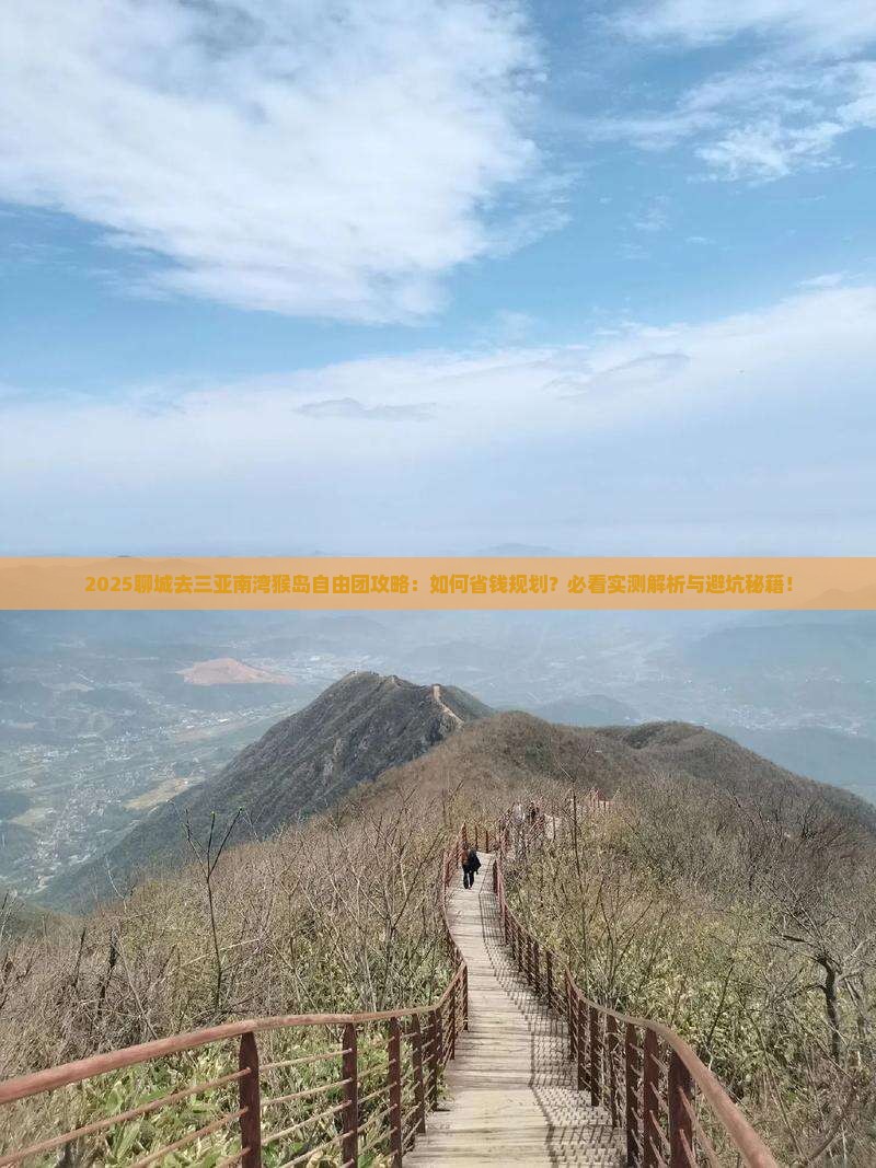 聊城去三亚南湾猴岛自由团