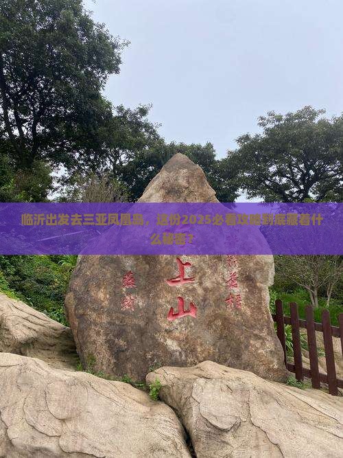 临沂前往三亚凤凰岛旅行社