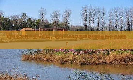 临沂前往三亚凤凰岛旅行社
