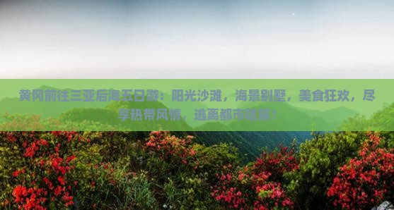 黄冈前往三亚后海五日游