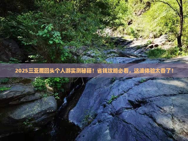 阿里前往三亚鹿回头个人游
