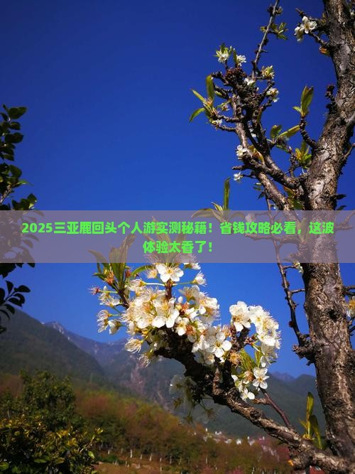 阿里前往三亚鹿回头个人游
