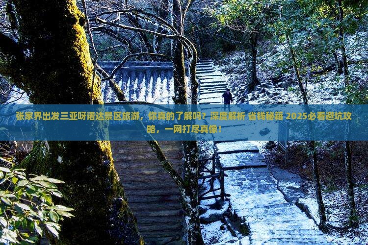 张家界出发三亚呀诺达景区旅游 张家界出发三亚呀诺达景区旅游