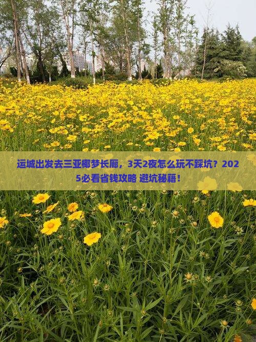运城前往三亚椰梦长廊旅游网红地点 运城前往三亚椰梦长廊旅游网红地点