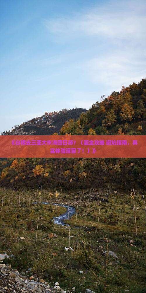 白银去三亚大东海四日游