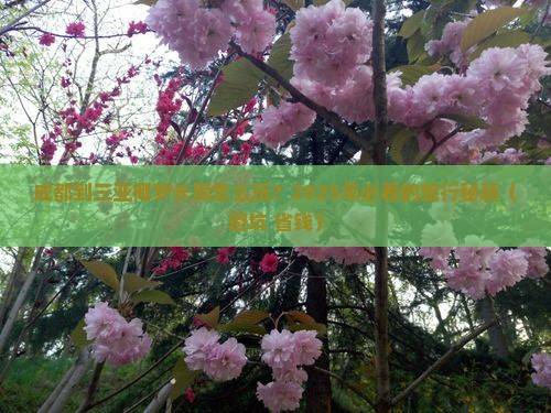 成都出发三亚椰梦长廊旅游打卡点