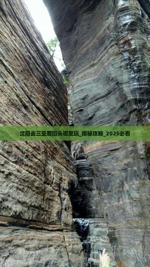 沈阳去三亚鹿回头哪里玩