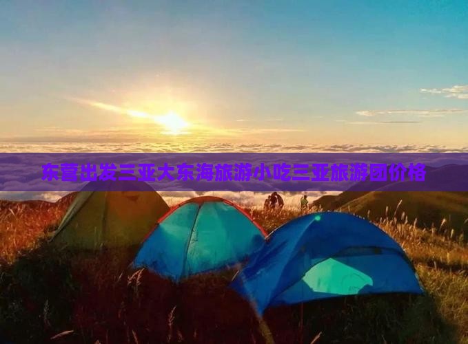 东营出发三亚大东海旅游小吃