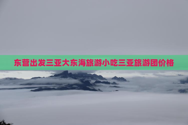 东营出发三亚大东海旅游小吃