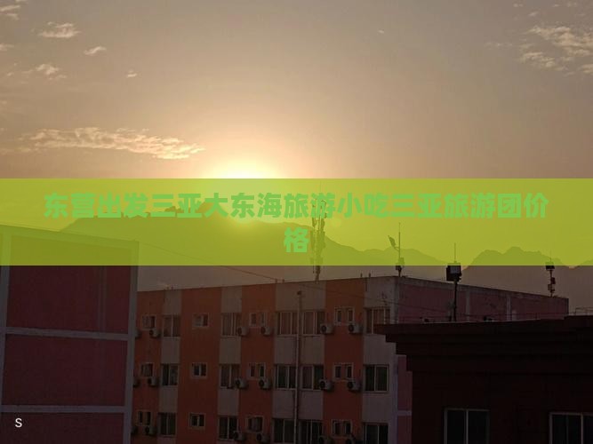 东营出发三亚大东海旅游小吃