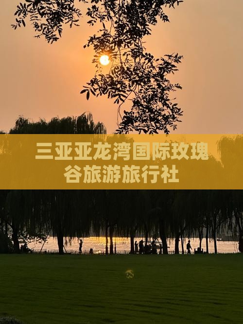 庆阳去三亚亚龙湾国际玫瑰谷旅行社