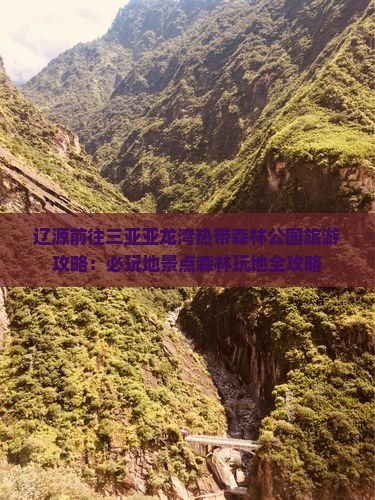 辽源前往三亚亚龙湾热带森林公园必玩地