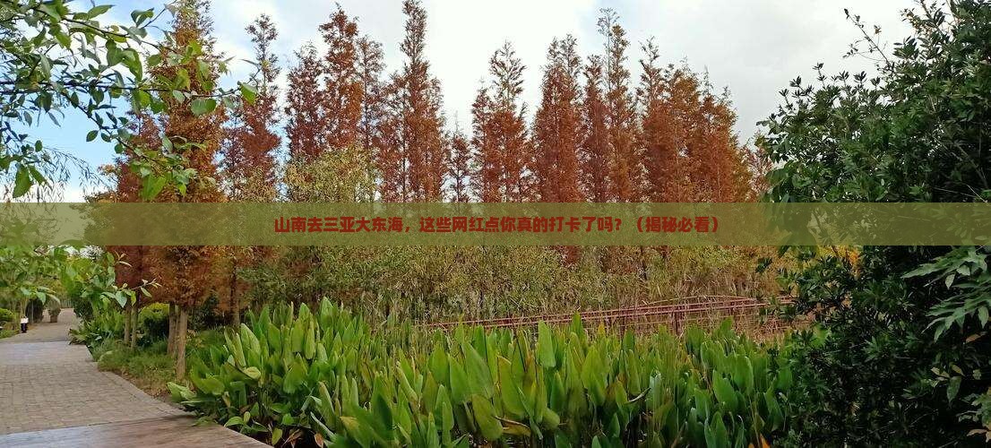 山南去三亚大东海旅游网红地点