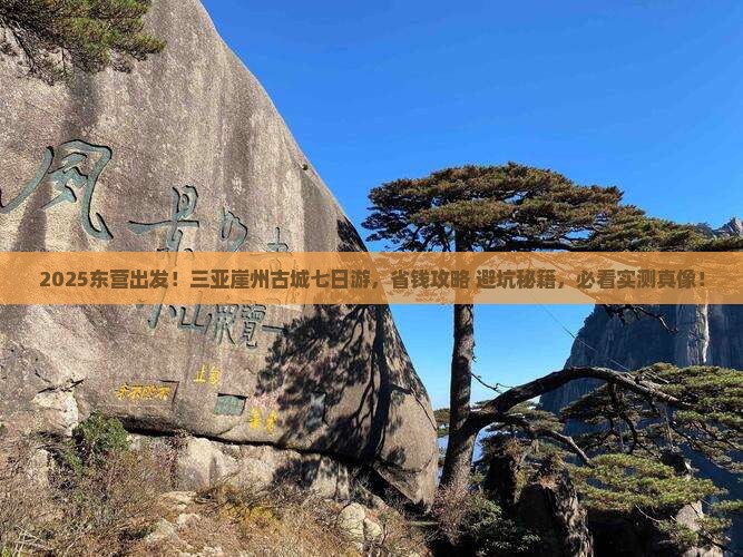 东营去三亚崖洲古城七日游