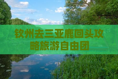 钦州去三亚鹿回头自由团