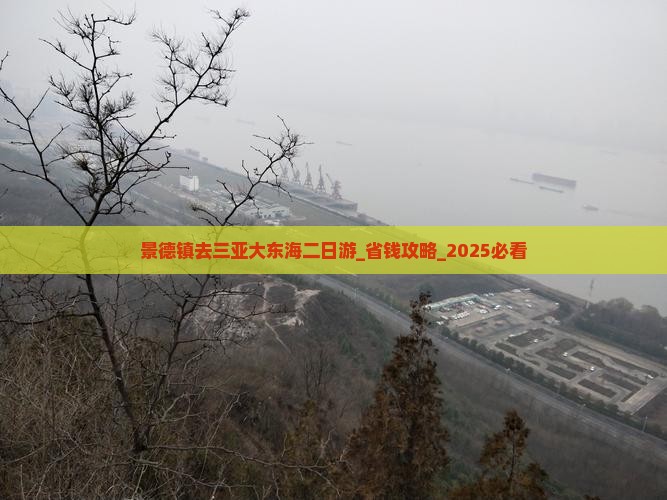 景德镇去三亚大东海二日游