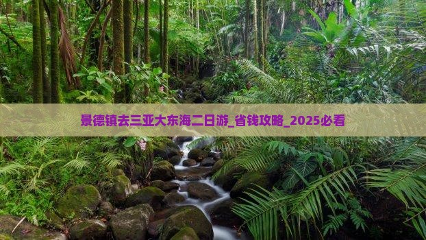 景德镇去三亚大东海二日游