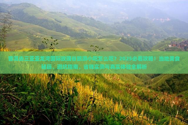 普洱去三亚亚龙湾国际玫瑰谷旅游小吃