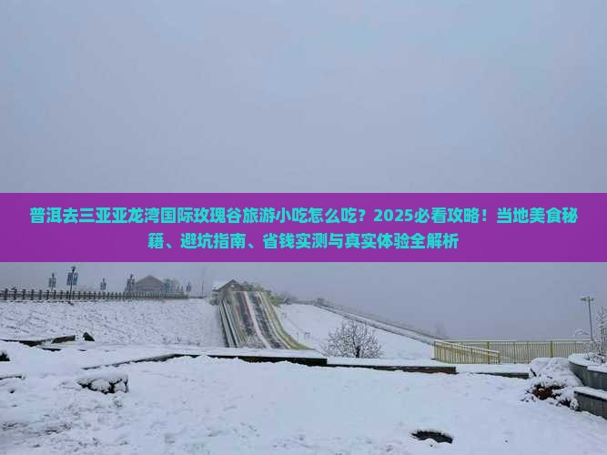 普洱去三亚亚龙湾国际玫瑰谷旅游小吃