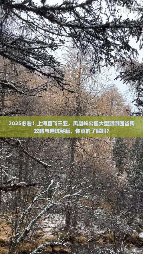 上海去三亚凤凰岭公园大型旅游团