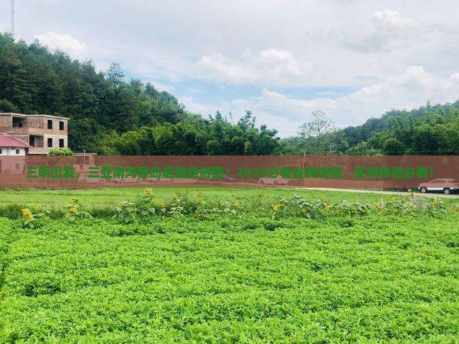 三明前往三亚南湾猴岛大型旅游团
