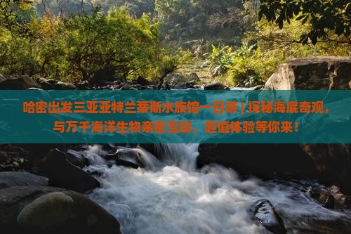 哈密出发三亚亚特兰蒂斯水族馆一日游