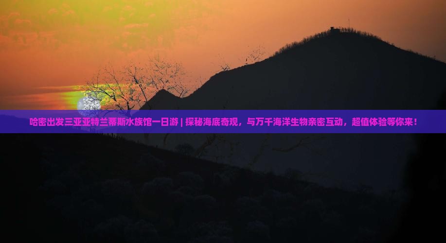 哈密出发三亚亚特兰蒂斯水族馆一日游