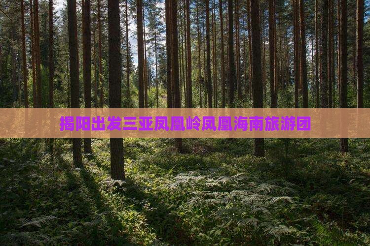 揭阳出发三亚凤凰岭公园大型旅游团