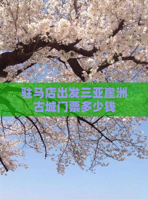 驻马店出发三亚崖洲古城门票