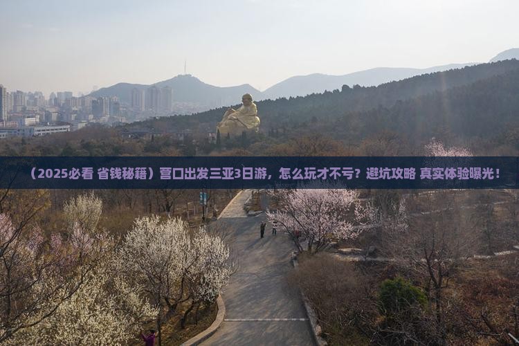 营口出发三亚天涯海角三日游