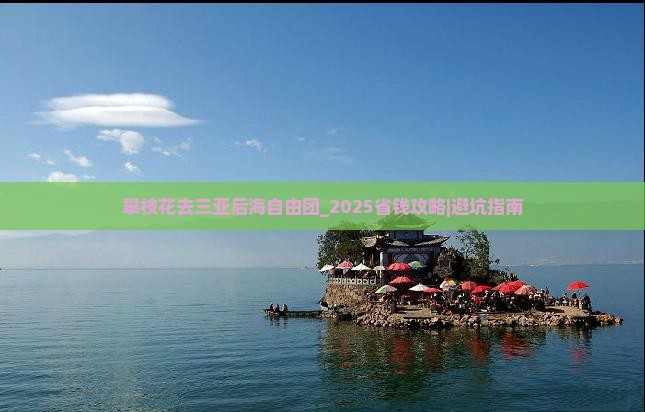 攀枝花去三亚后海自由团