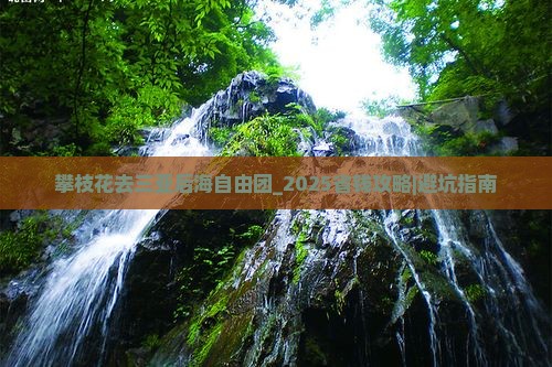 攀枝花去三亚后海自由团