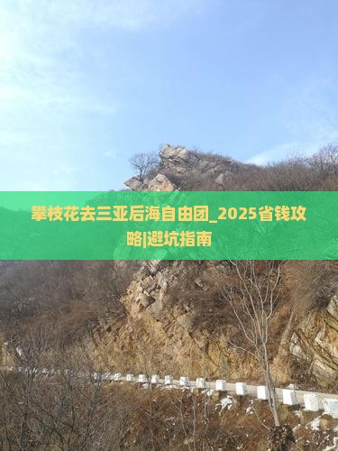 攀枝花去三亚后海自由团