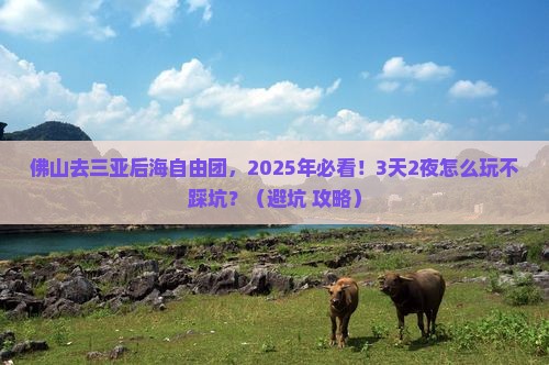 佛山去三亚后海自由团