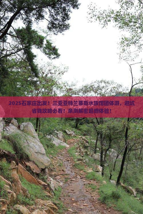 石家庄出发三亚亚特兰蒂斯水族馆团体旅游
