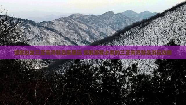邯郸出发三亚南湾猴岛哪里玩