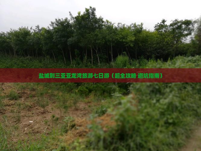 盐城去三亚亚龙湾七日游