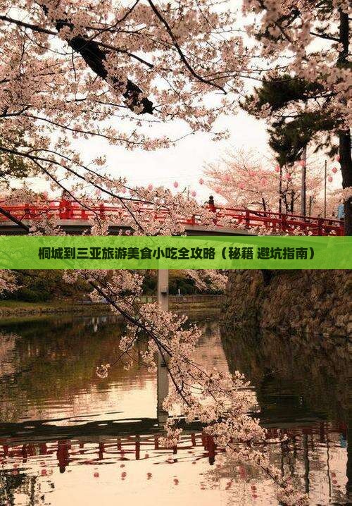 桐城出发三亚凤凰岛旅游小吃