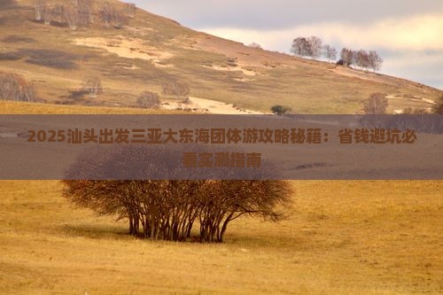 汕头前往三亚大东海团体旅游