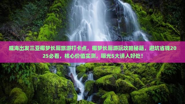 威海出发三亚椰梦长廊旅游打卡点