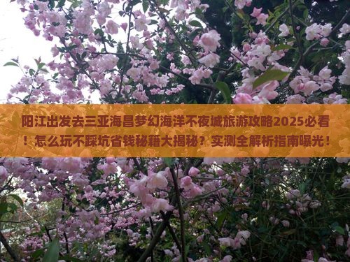 阳江前往三亚海昌梦幻海洋不夜城旅游网红地点
