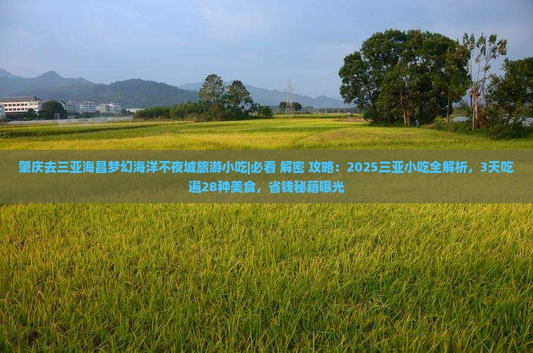 肇庆去三亚海昌梦幻海洋不夜城旅游小吃