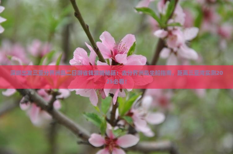 深圳出发三亚分界洲岛二日游