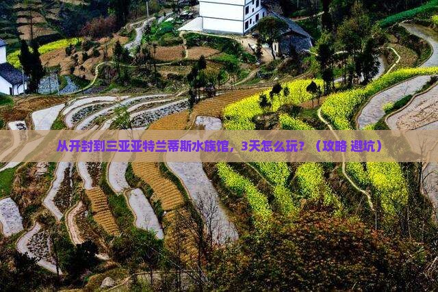 开封去三亚亚特兰蒂斯水族馆自由行